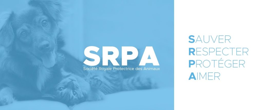 SRPA – Liège Adoptions